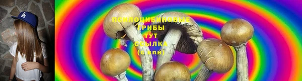 mix Абаза