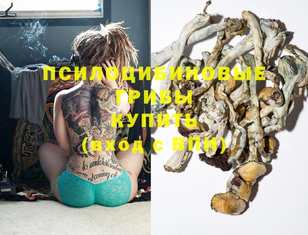 бошки Абдулино