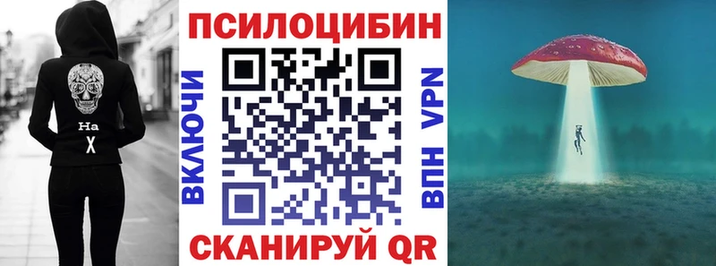 Псилоцибиновые грибы Cubensis  закладки  Лодейное Поле 