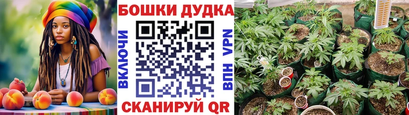 купить закладку  блэк спрут вход  Шишки марихуана MAZAR  Лодейное Поле 